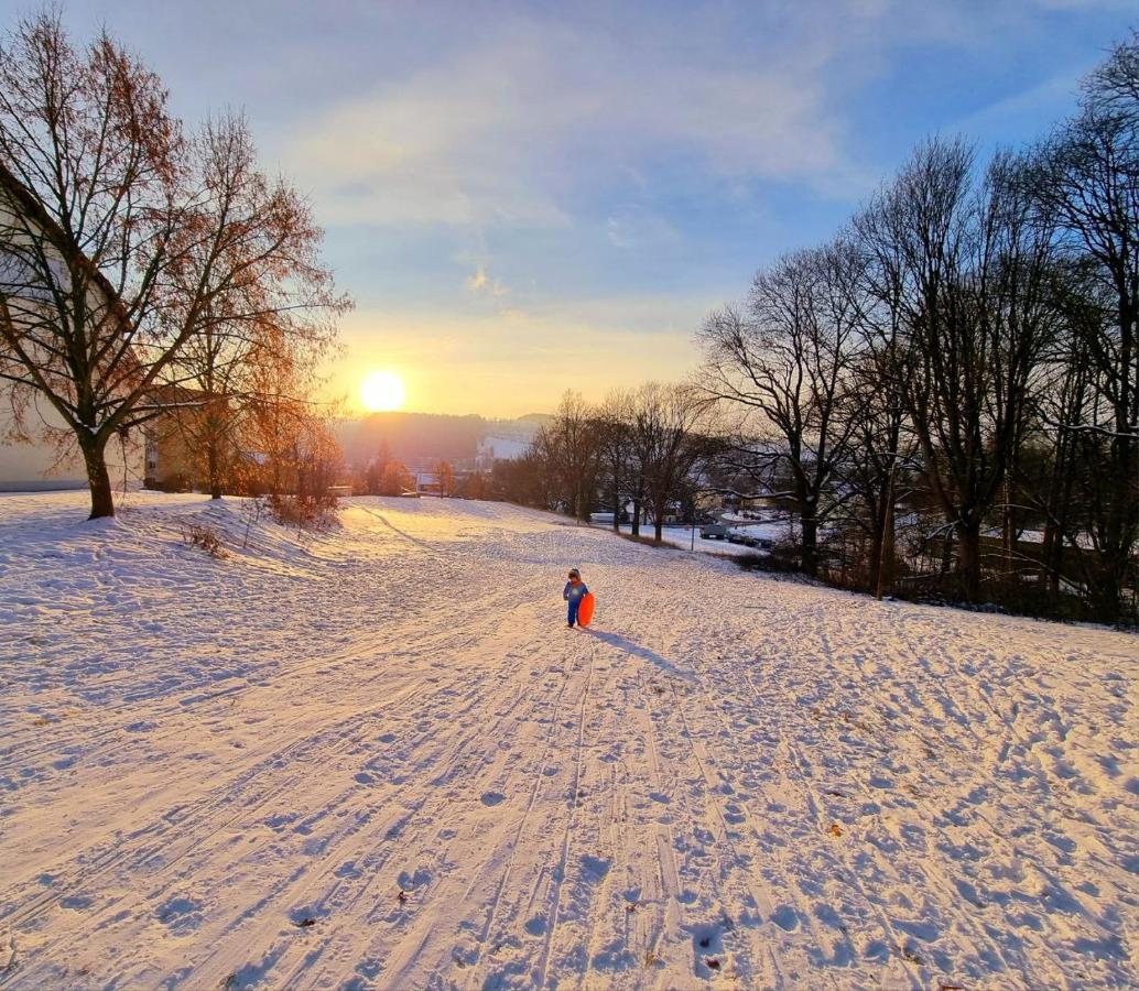Ferienhaeuser Olbernhau Erzgebirge 外观 照片