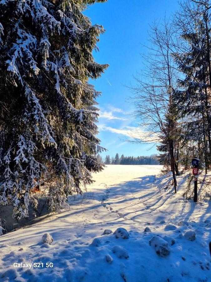 Ferienhaeuser Olbernhau Erzgebirge 外观 照片