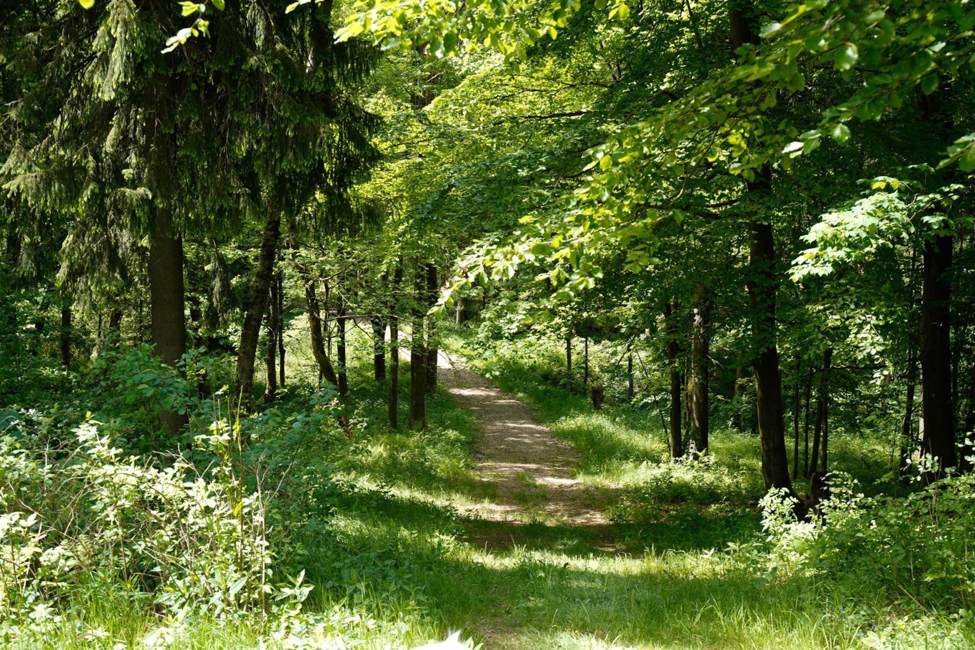 Ferienhaeuser Olbernhau Erzgebirge 外观 照片